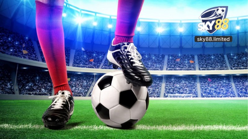 Cá Cược Bóng Đá Sky88
